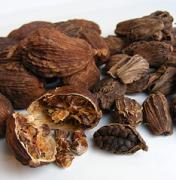 Amomum tsao-ko